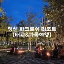 정선 파크로쉬 리조트 후기(프리미어 패밀리 스위트)_태교&amp;가족여행 추천!