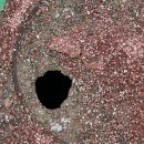 성진이엔씨 이미지