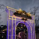 유림-26 | 아이와 다녀온 대전 유성 유림공원 크리스마스 축제 후기