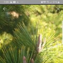 원주치악산불한증막 이미지