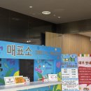 세종카에어콘 | 청주오스코 상상체험키즈월드 청주 대형 키즈카페 방문 후기 아이와 가볼만한 곳 (할인, 주차)