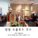 양양로 | 강원도 양양 여행 가볼만한곳, 골목길 핫플 양양로 소품로드 코스