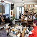 놀면뭐하니 Daum카페