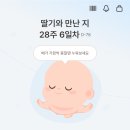 씨유 광주신장지점 | 임신 중기~후기 28주 배뭉침 임산부 일상