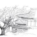 [O2/이장희의 스케치 여행] 순천 선암사 매화나무 이미지