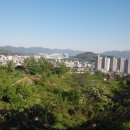 여수이순신대교 이미지