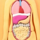 산들부부한의원 이미지