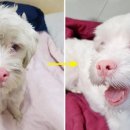 은혜주유소 이미지