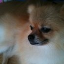 수성동010 이미지