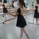 세종아르테발레아카데미학원
