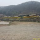 달빛 아리수 이미지