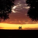 나와 만나는 시낭송 이미지