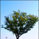 용동1길 이미지