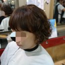 고고헤어gogoHair Daum카페