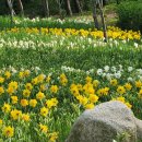 바다향기 이미지