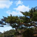 한산도 제승당 이미지