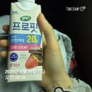 DH민박 | 수린이의 첫 스노클링 후기-강원 삼척 장호항/장호항정보평상,주차,식당_25.08.09 운동,식단