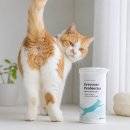 티-나네! | 고양이 신장 유산균 왜 먹이나 했는데 똥꼬에서 티 나네