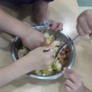 요리조리팡팡