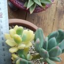 청성농협 이미지