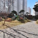 아름동_범지기902동 이미지