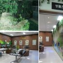 나비공원1(자연교육센터) 이미지