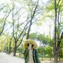 라임폭스