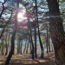 푸른인쇄사