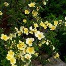 하늘과땅사이 이미지