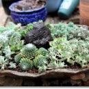 장호농장 이미지