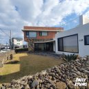 제주애아리 이미지