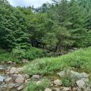 심적유원지 이미지