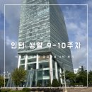 행정용 22 | [미래내일일경험] 공공행정 9-10주차 인턴 마지막 일상 그리고 솔직후기