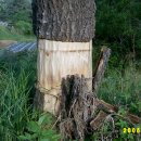 하소약수터 이미지