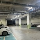 홍성진 | 삼송 헬스장 일상피트니스 PT 삼송역점 개인 PT 받은 후기