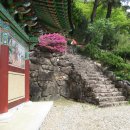 초암약수터 이미지