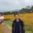 청송심씨묘역 | 알토란 같은 청송여행