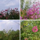 북부수자원생태공원 이미지