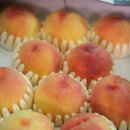 풍원농장 이미지