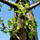 일동농장 이미지