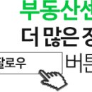 효자동 박태성정려비및묘 이미지