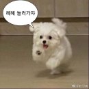 휘폴