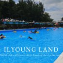 일영랜드(주) 이미지