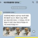 네오펫동물메디컬센터