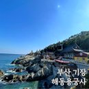 부산 해동용궁사 가는길 기장 아이와 가볼만한곳 절 전국유명사찰 투어