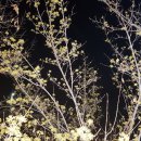 지방도925호선 이미지