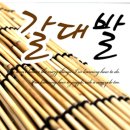 마루모리 이미지