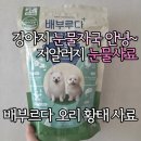 [강아지 사료 추천] 눈물 자국과 이별 중! 뽀리의 '배부루다 오리·황태' 리얼 급여 정착기 🐶✨