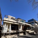 까페컵 | 창원 가로수길 디저트카페 컵넛 후기✨