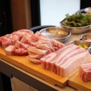 수지베스트